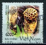 [Mushrooms, típus CFP]