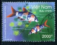 [Fish, ประเภท CUC]