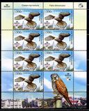 [Bird of the Year - Common Kestrel, type ABO]