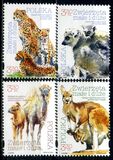 [Small and Large Animals, Tipi IGV]