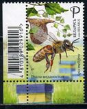 [Beekeeping in Belarus, Typ BBO]