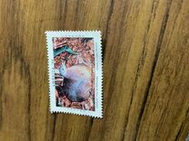 [America 1993 - Endangered Species, type AOO]