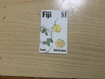 [Tropical Fruits, тып WE]