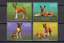 [Khun Tongdaeng (Dogs), 類型 DLN]