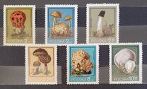 [Protected Poisonous Mushrooms, タイプ CHV]