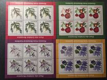 [Flowers of Bucharest Botanical Garden, type JZS]