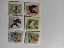 [Nature Conservation - Birds, type ALV]