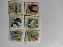 [Nature Conservation - Birds, type ALV]