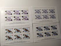 [Birds, type FRV]