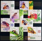 [Beneficial Insects, タイプ IJZ]