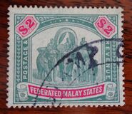 [Elephants, type D1]