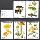 [Fungi, प्रकार AAZ]