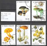 [Fungi, प्रकार AAZ]