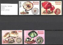 [Fungi, τύπος DQW]