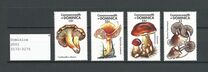 [Mushrooms of the World, प्रकार DKX]