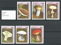 [Fungi, tip AST]
