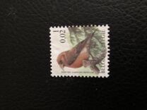 [Birds, タイプ CIH]