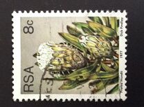 [Flora - Protea Plants, Tipi PN]