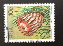 [Flora - Protea Plants, Tipi PP]