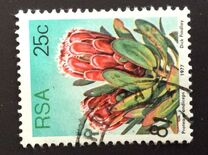 [Flora - Protea Plants, Tipi PS]