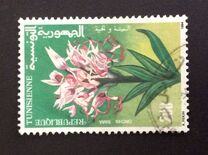 [Plants, ประเภท AFT]