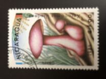 [Airmail - Mushrooms, type BOD]