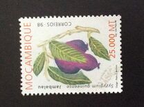 [Wild Fruits, tip AOQ]