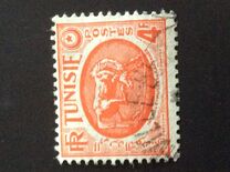 [Horse - From Carthage Museum, प्रकार AT5]