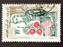 [Living in Tunisia, Tipi DY]