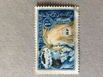 [Tahitian Dancer, type AA]