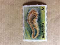 [Marine Life, tegund RK]