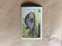 [Marine Life, tegund RL]