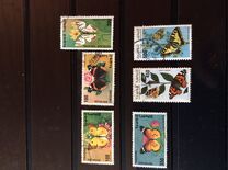 [Butterflies, type AFY]