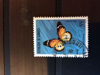 [Butterflies, type BY]