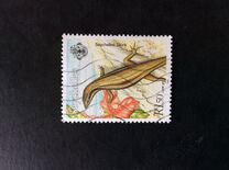 [Flora and Fauna, Tip VS]