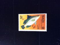 [Sport Fishing - Fish, Typ BN]