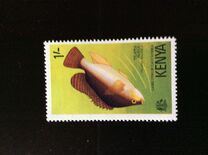 [Sport Fishing - Fish, Typ BO]