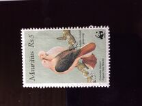 [Global Conservation - Pink Pigeon, tegund PQ]