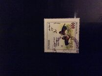 [The 11th Pan-African Congress for Ornithology - Birds, වර්ගය ARH]