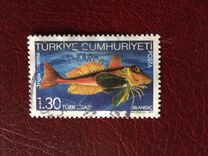 [Marine Life - Fish in Our Seas, 类型 DRY]