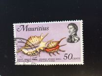 [Marine Life, Tipi FI]