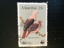 [Global Conservation - Pink Pigeon, tegund PN]