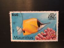 [Fish, type AAY]