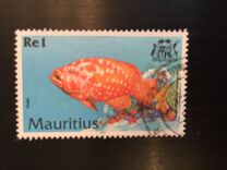 [Fish, type AAT]