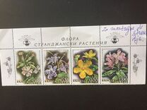 [Mountain Flowers, type FSD]