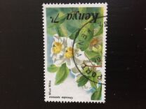 [Flowers, type MD]