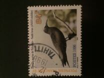 [Marine Birds, type ZO]