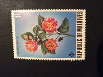 [Flowers of the Maldive Islands, סוג QY]