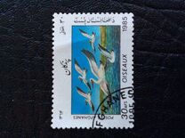 [Fauna - Birds, jenis ADF]