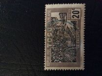 [Cocoa Trees, type H]